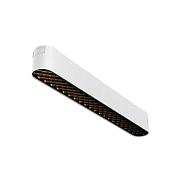 Basis Grid Radity 3000K 12 60