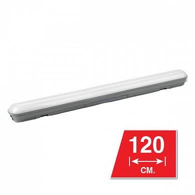  Wolta LWP40-, IP65, 3400 , 6500